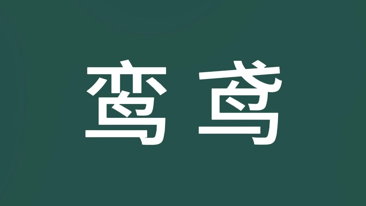 咬文嚼字:“鸾”和“鸢”,一样吗?涨知识了