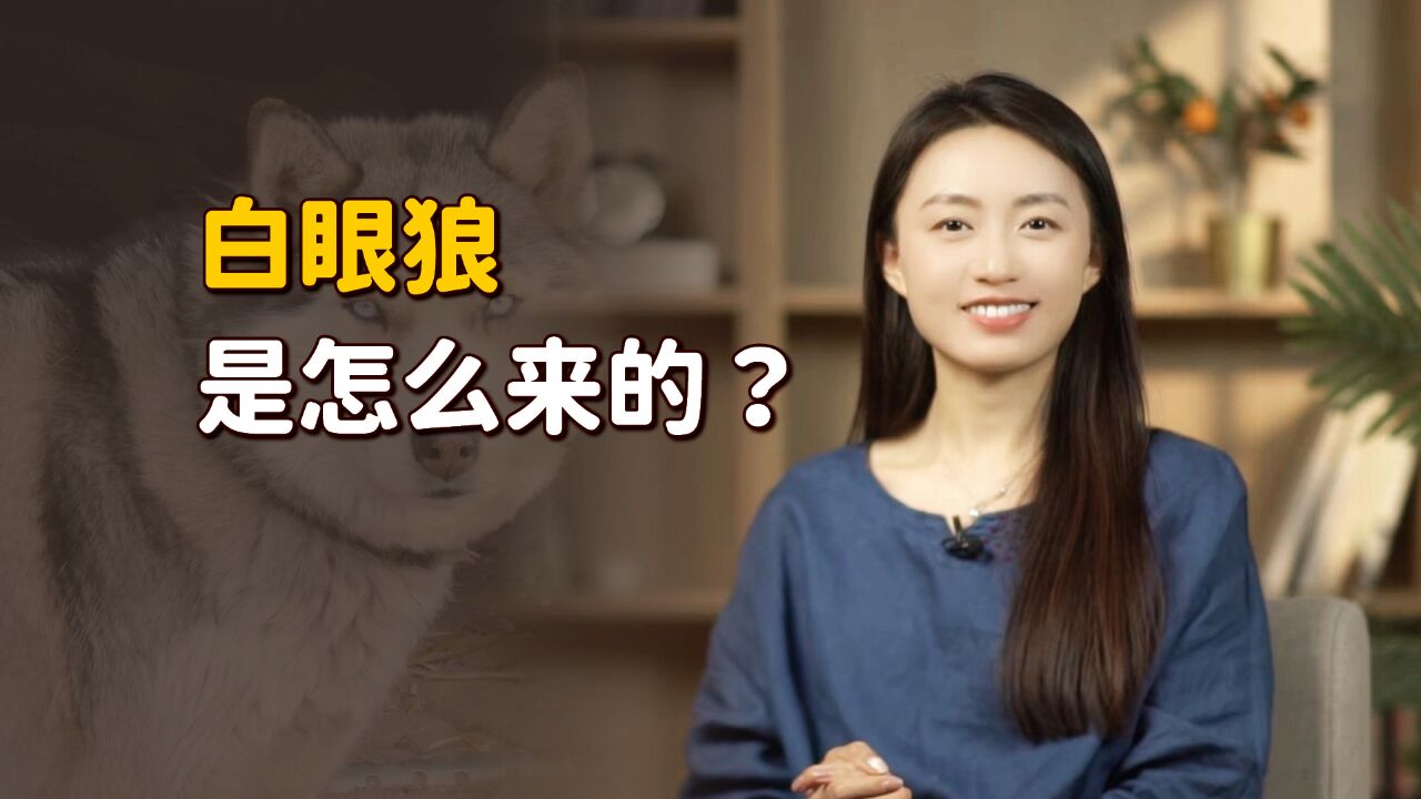 人们常说的“白眼狼”,到底是什么狼?跟忘恩负义有啥关系?