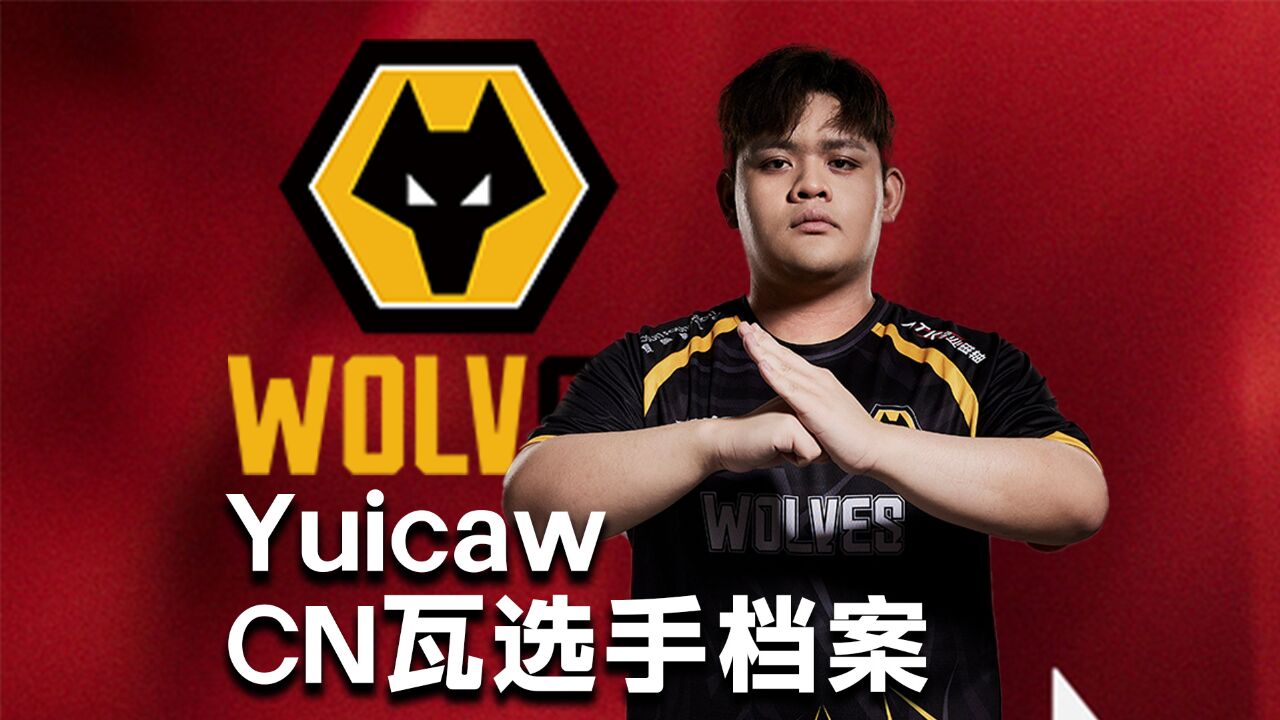 【CN瓦选手档案】WOL战队Yuicaw