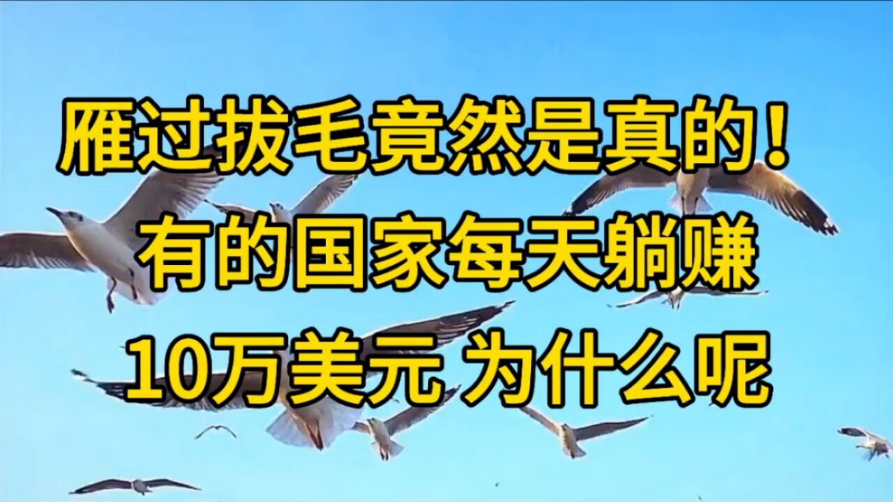 雁过拔毛竟然是真的!有的国家每天躺赚10万美元为什么呢