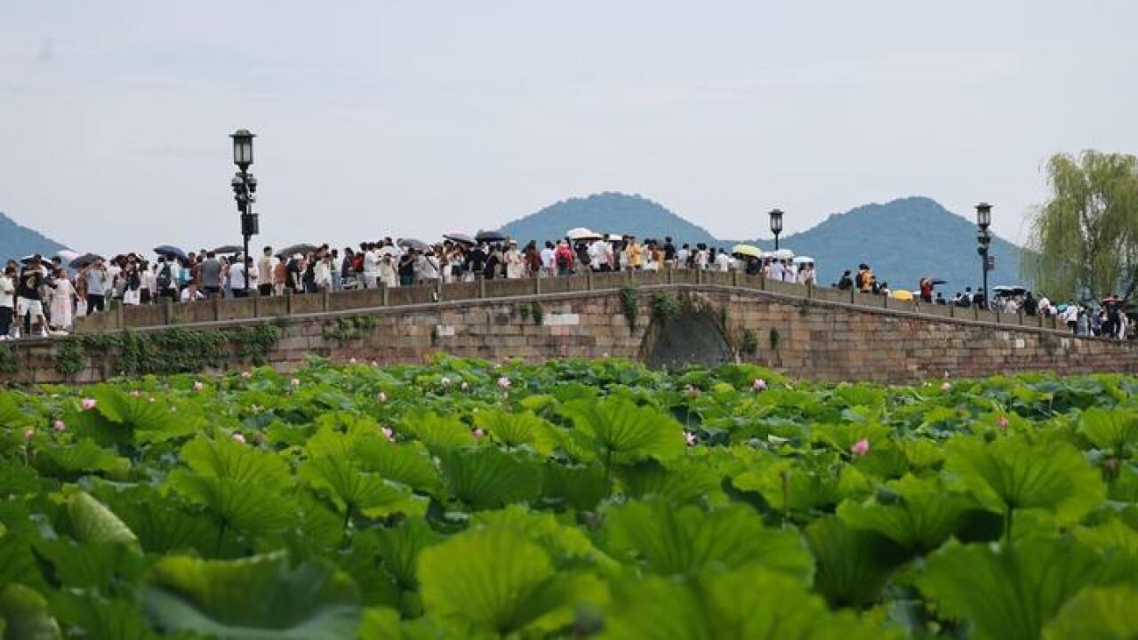 雨水暂歇 杭州西湖重启“人从众”模式