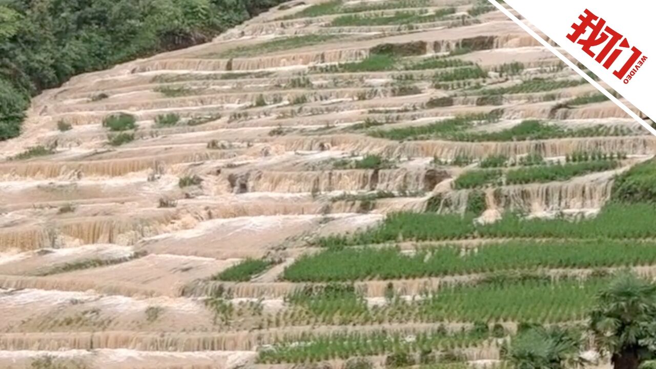 贵州开阳县一乡遇强降雨梯田变“瀑布”:全乡受灾面积约300亩 救灾正有序进行