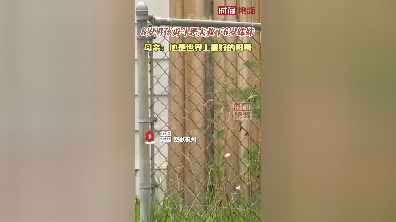 美国8岁男孩勇斗恶犬救下6岁妹妹,母亲:他是世界上最好的哥哥