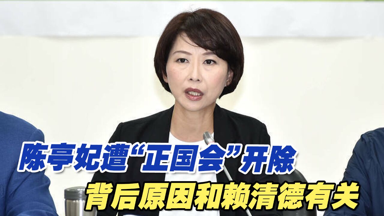 陈亭妃坚持选民进党中常委遭开除,背后原因和赖清德有关