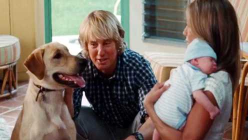 这是我看过最调皮的狗狗，它却用一生见证了这个家庭的成长，一部宠物狗拉布拉多的电影《马利和我》