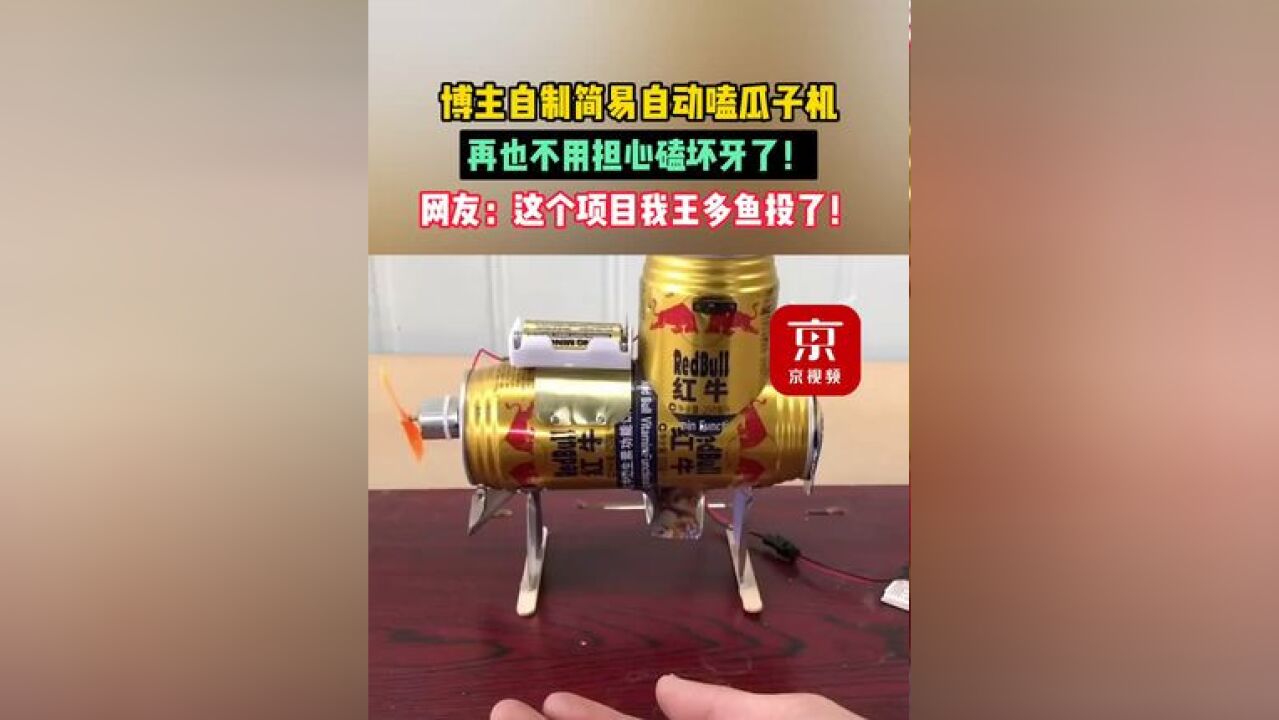 博主自制简易自动嗑瓜子机,再也不用担心磕坏牙了!网友:这个项目我王多鱼投了!