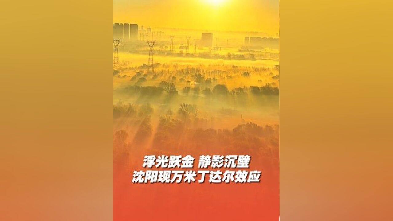 11月12日,辽宁#沈阳现万米丁达尔效应 ,仿佛置身仙境,这一刻,光有了自己的形状 #丁达尔效应 #绝美风景