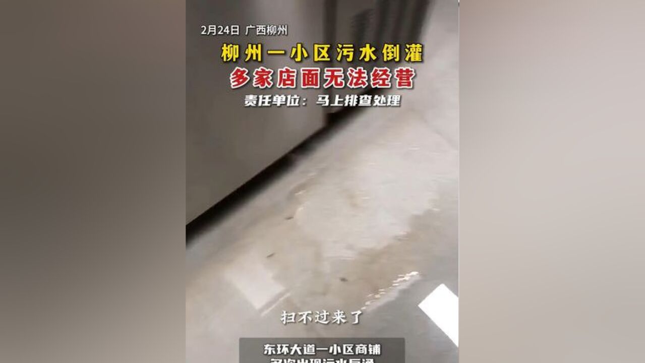 柳州一小区污水倒灌,多家店面无法经营