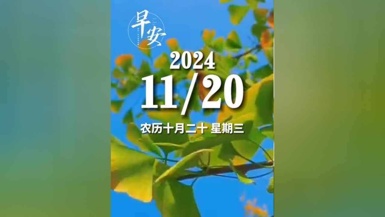 早安青岛 今天是11月20日 星期三 早安 等一朵花开需要耐心,你要坚持并坚信