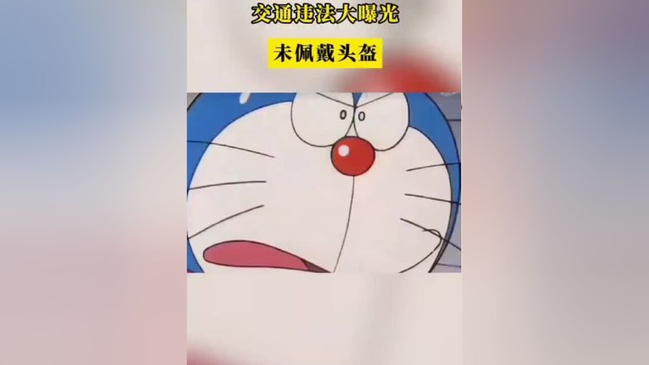 交通违法大曝光!