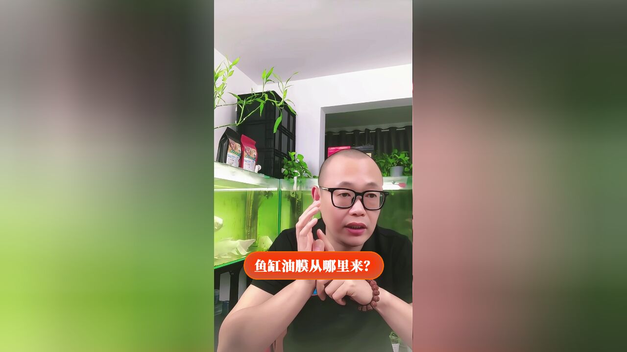 鱼缸油膜来自哪里?