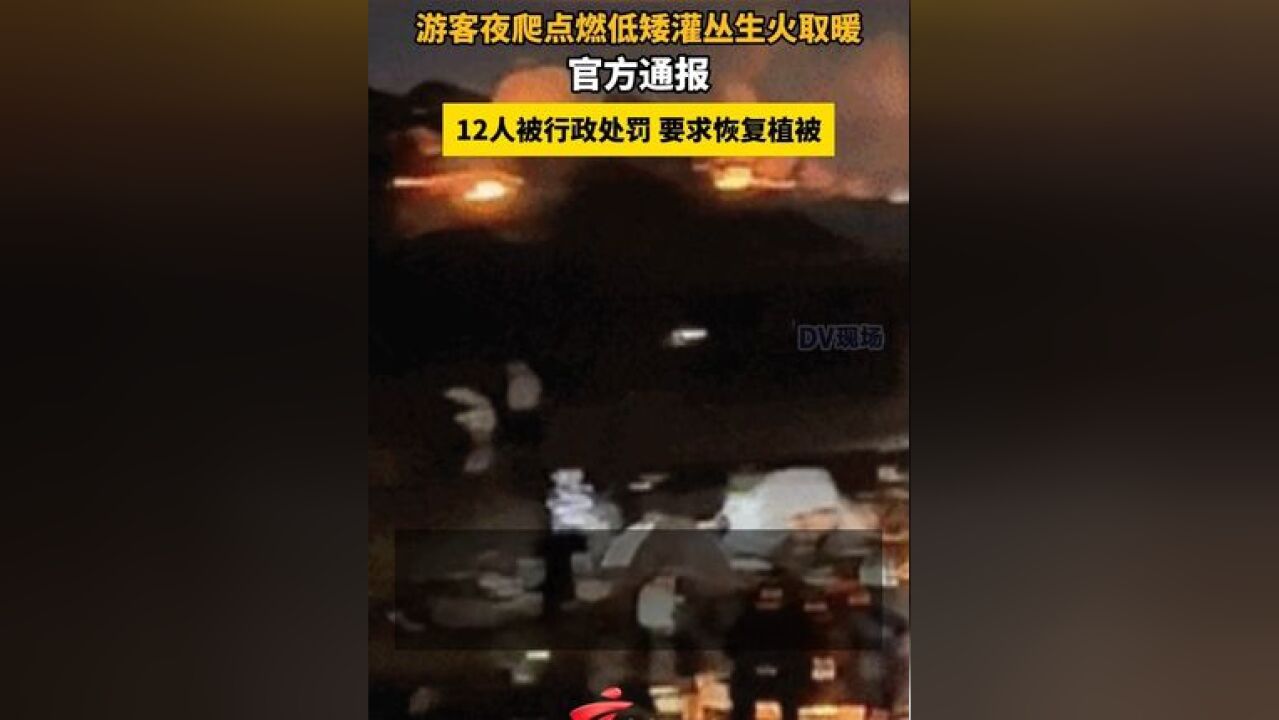 游客夜爬点燃低矮灌丛生火取暖,官方通报:12人被行政处罚,要求恢复植被