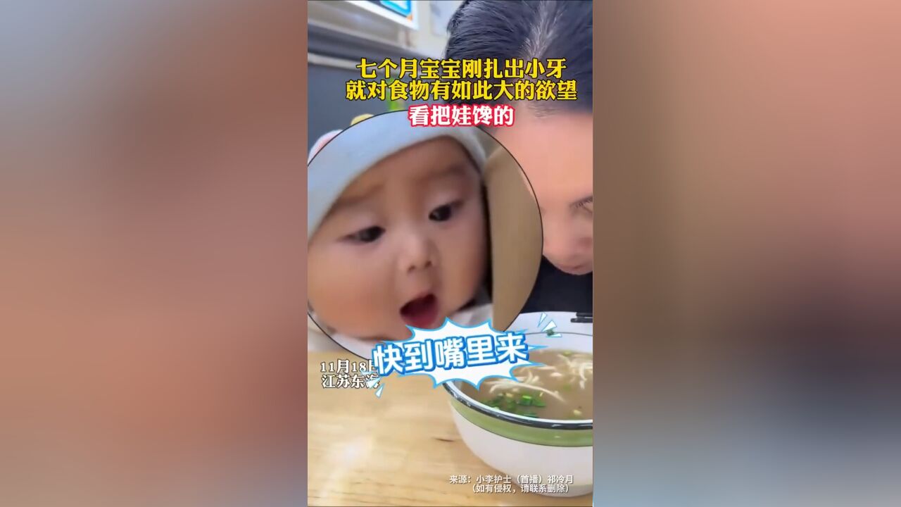 七个月宝宝刚扎出小牙 就对食物有如此大的欲望 看把娃馋的