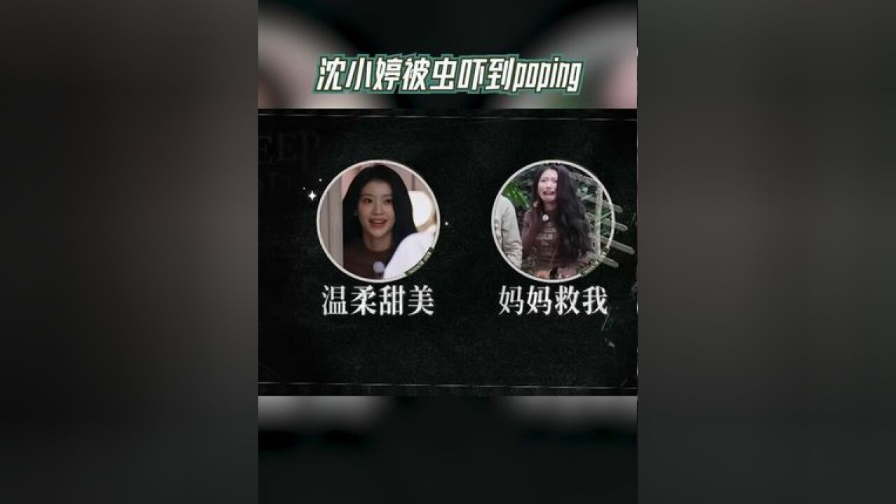 奔跑吧 沈小婷被虫吓到poping