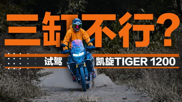 三缸 轴传动 150匹 试驾凯旋TIGER 1200