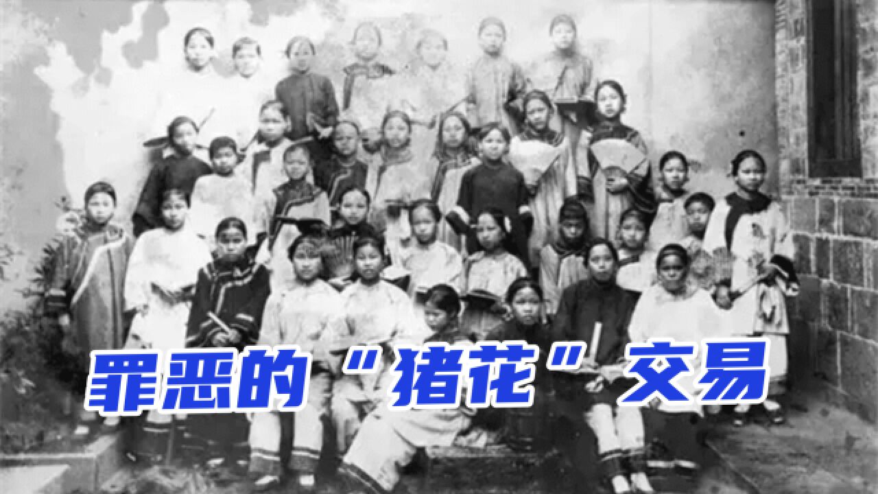 1854年,“英格伍德号”搭载47名中国幼女,揭开一段海外屈辱史