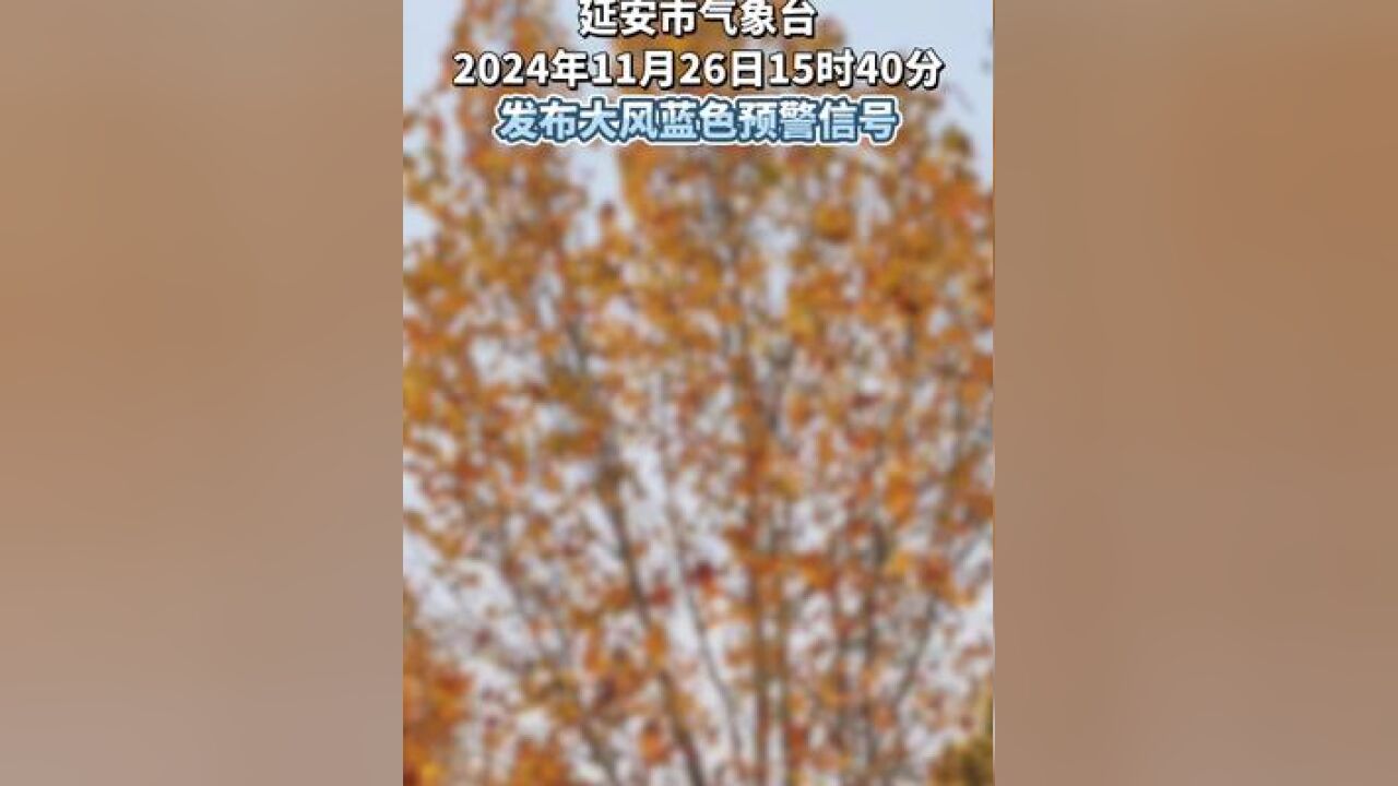 延安市气象台11月26日发布大风蓝色预警