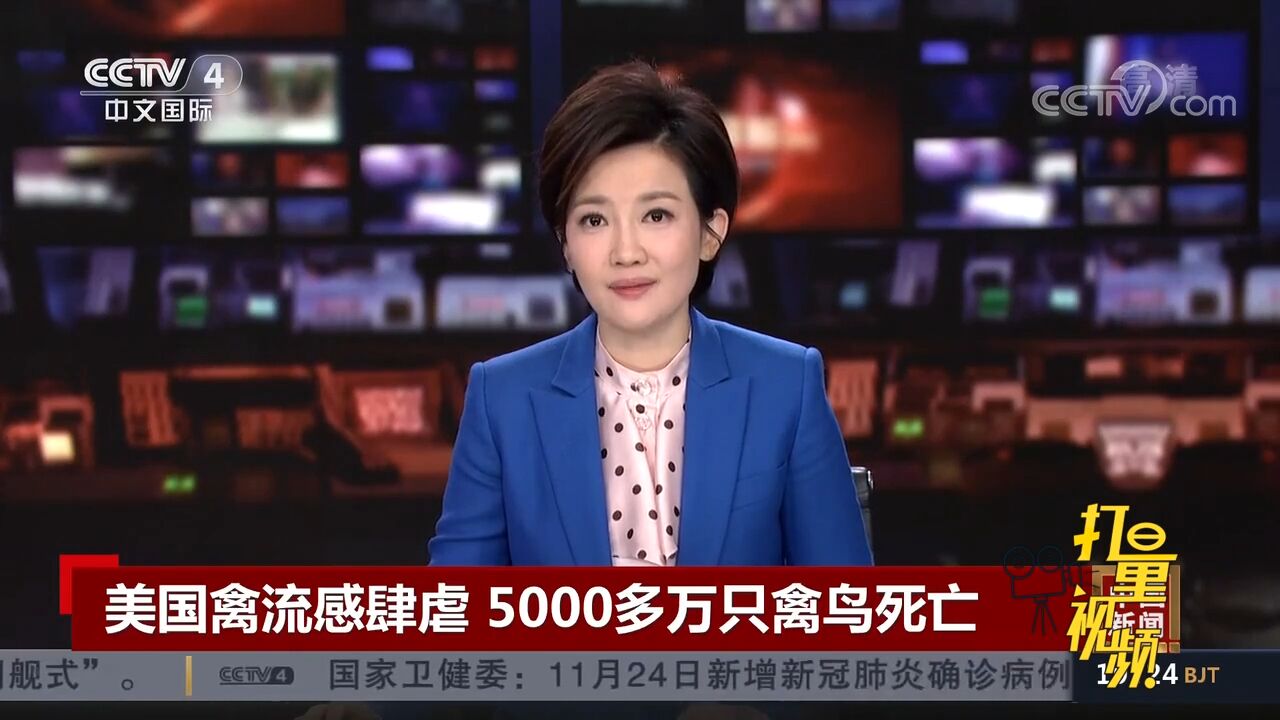 禽流感肆虐!美国5000多万只禽鸟死亡