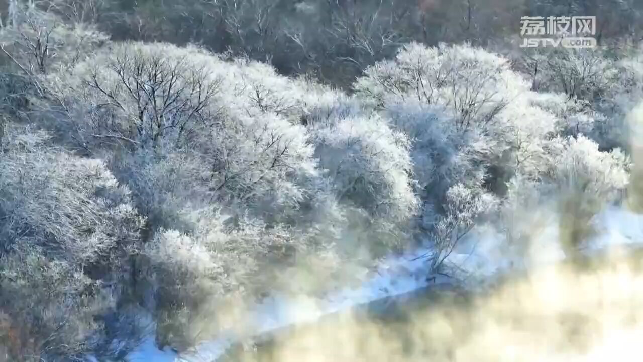 水气升腾!零下40度内蒙古不冻河流水潺潺