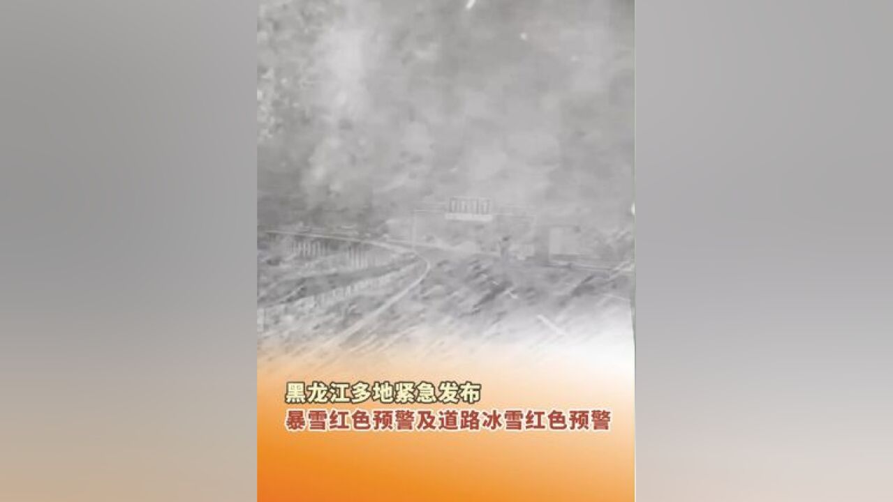 11月25日,黑龙江多地紧急发布暴雪红色预警和道路冰雪红色预警