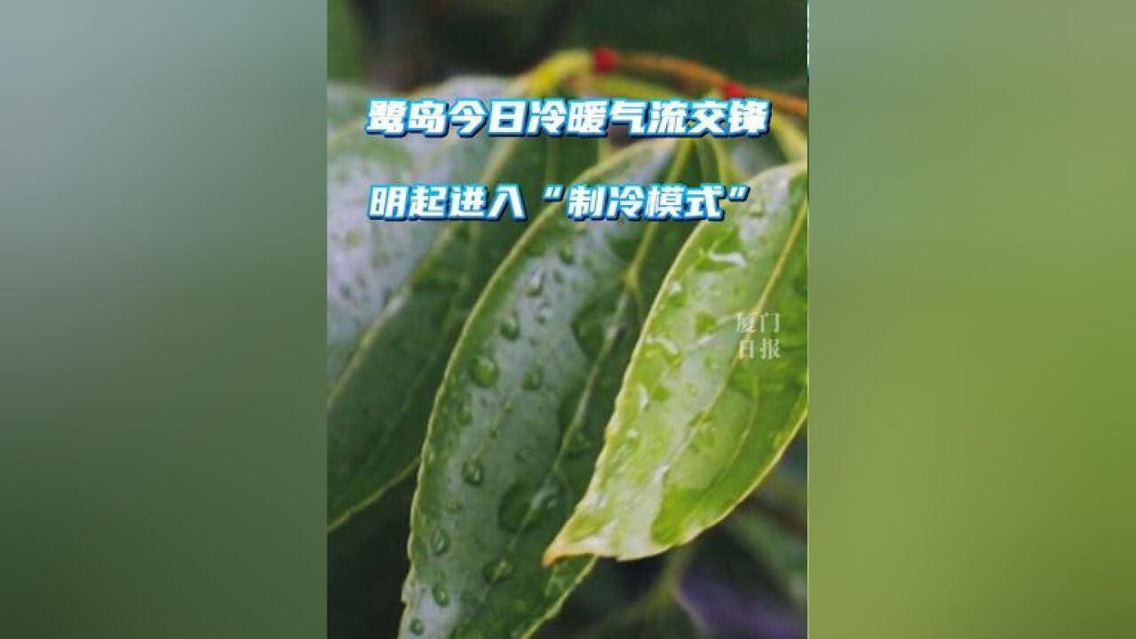 鹭岛今日冷暖气流交锋,明起进入制冷模式