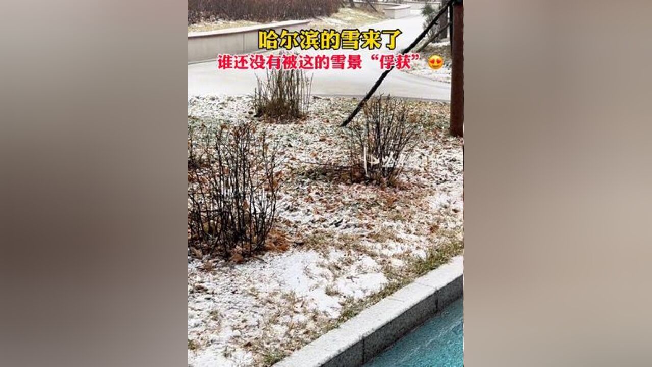 哈尔滨的雪来了,谁还没有被这的雪景“俘获”