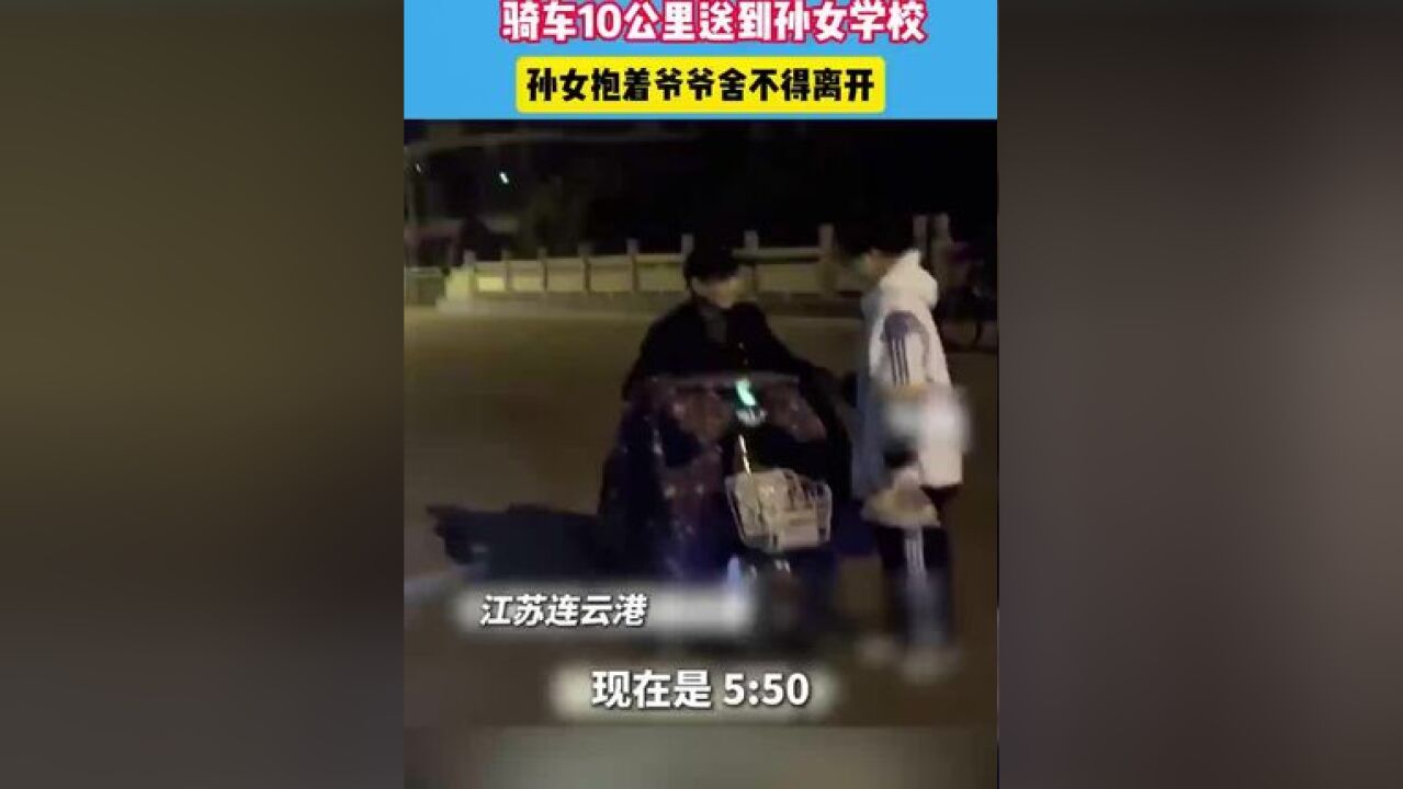 爷爷凌晨三点起来给孙女做萝卜卷,骑车10公里送到孙女学校.#爷爷 #隔辈亲