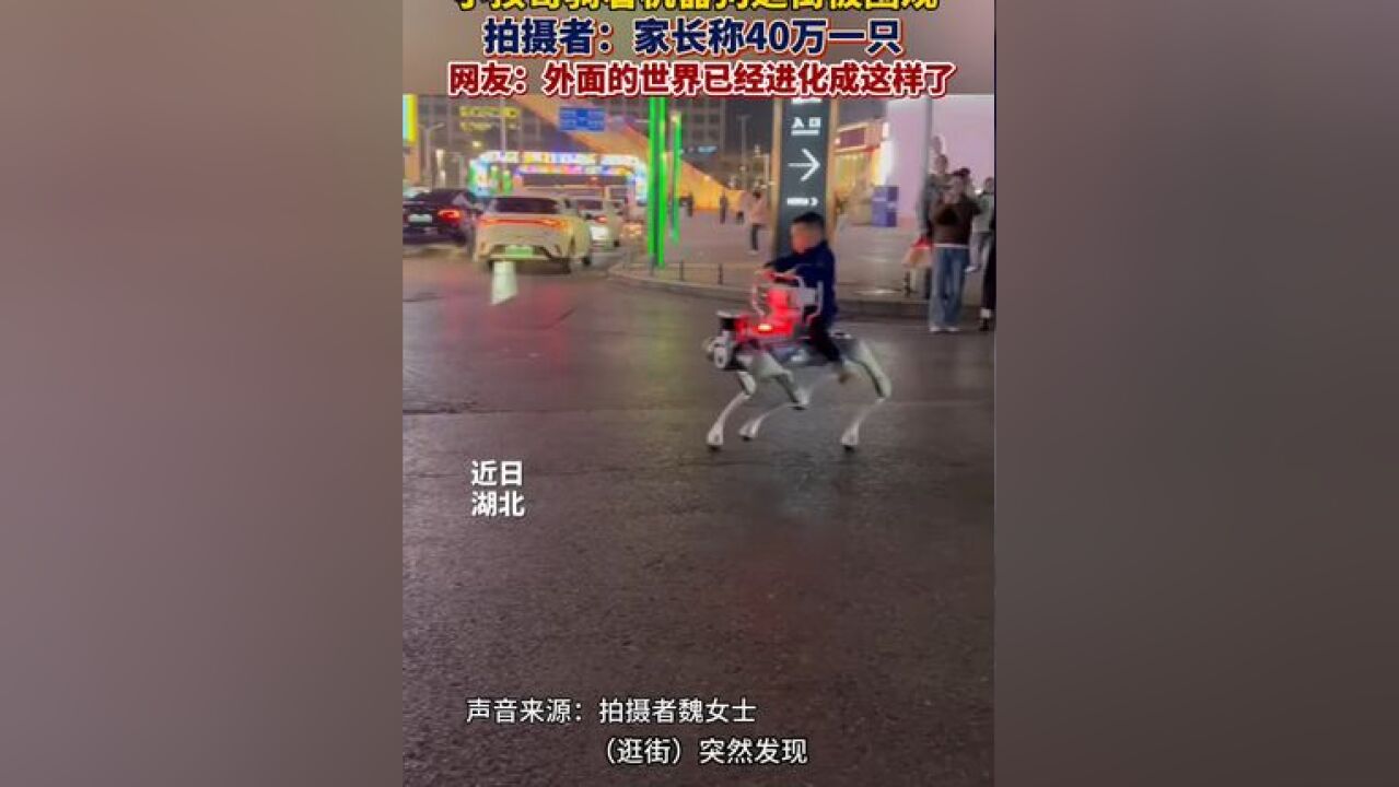 小孩哥骑着机器狗逛街遭围观,拍摄者:家长称价格为40万一只!网友:外面的世界进化成这样了?