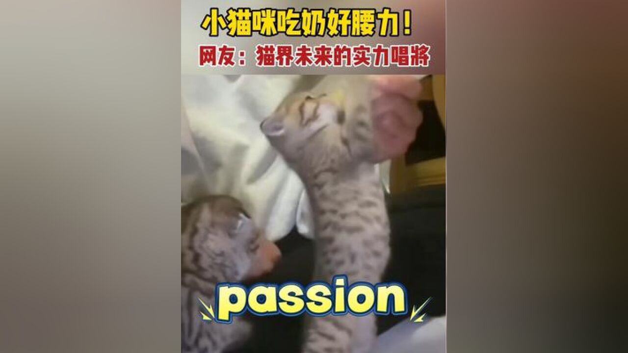 这腰力,飙高音一定很猛——喵!