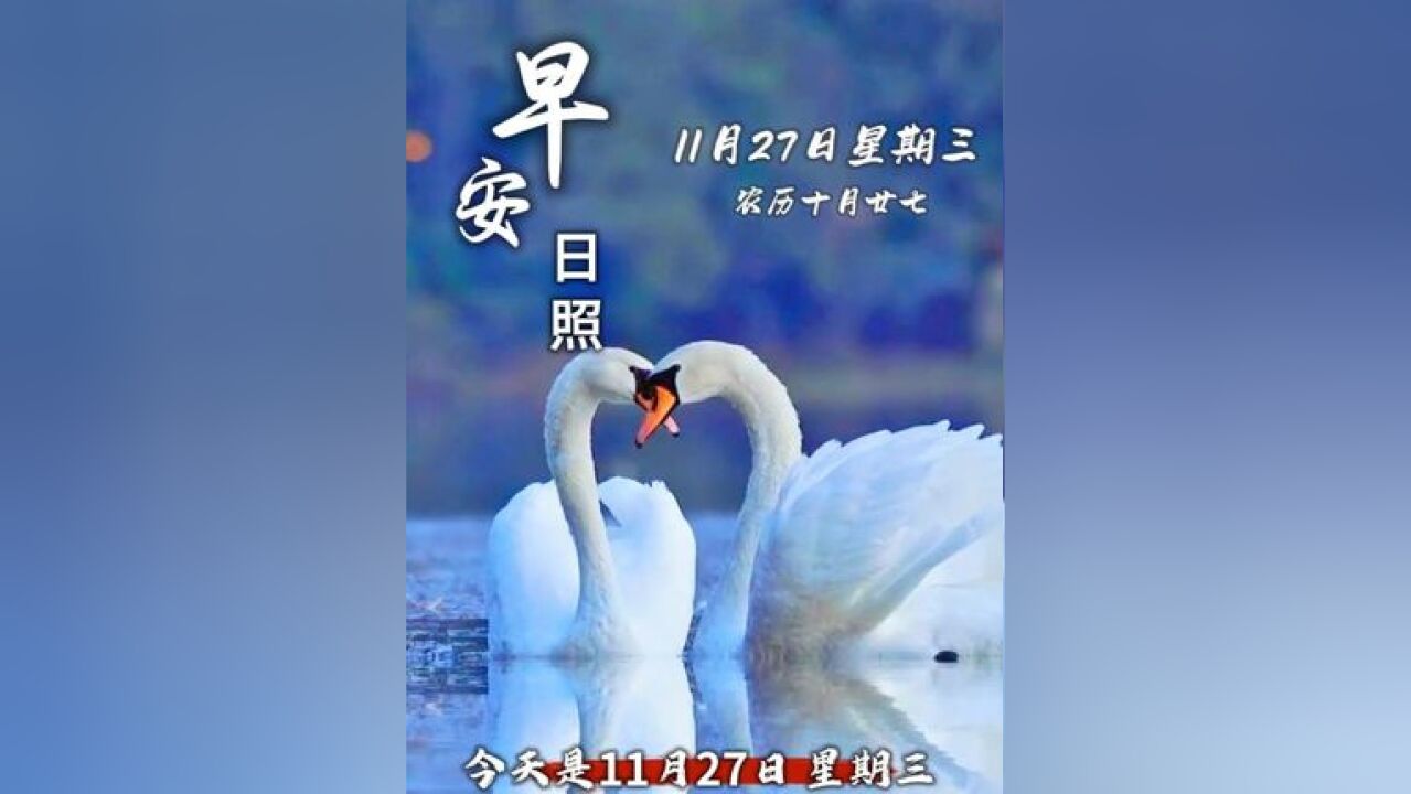 今天是11月27日,星期三,农历十月廿七,早安!每天清晨的第一缕阳光都为你而亮