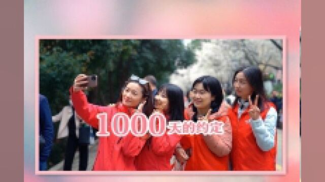 1000天的约定