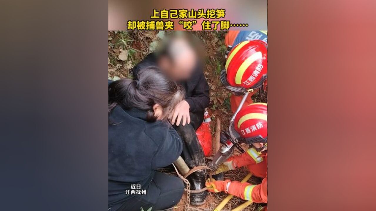 上自己家山头挖笋,却被捕兽夹“咬”住了脚