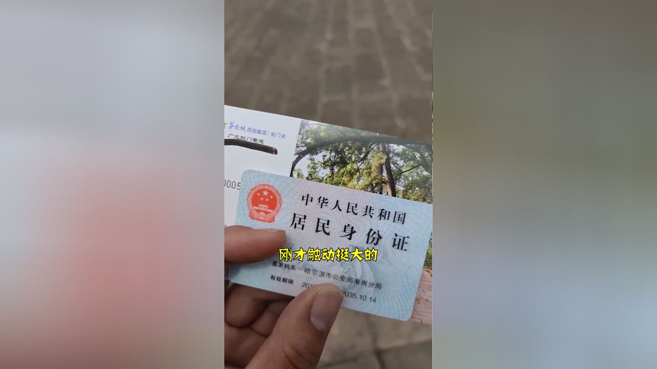 黑龙江男子剑门关旅游获免票感动到哽咽:汶川地震时曾举全省之力援建剑阁县