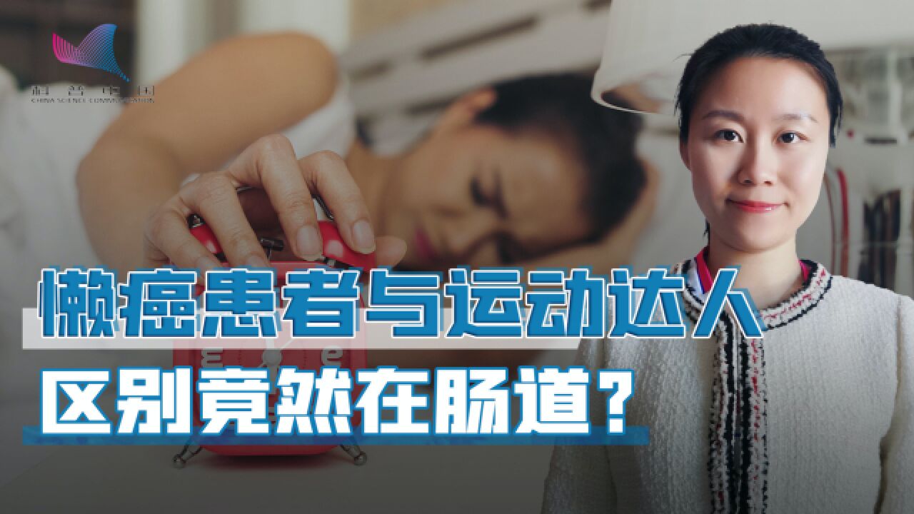 懒癌患者秒变“运动达人”?新研究带来新希望,改变肠道菌群是关键