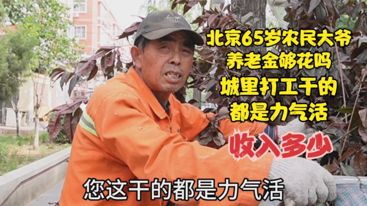 北京65岁农民大爷养老金够花吗?城里打工干的都是力气活,收入多少