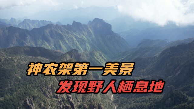 神农架第一美景,神农顶,发现野人栖息地