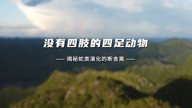 从什么时候起画蛇不能添足?新研究揭秘蛇类演化的“断舍离”