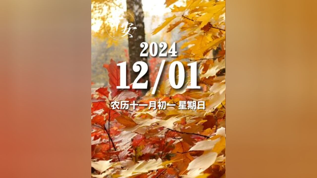 今天是12月01日 星期日 早安 今天的自己,要胜过昨天的自己