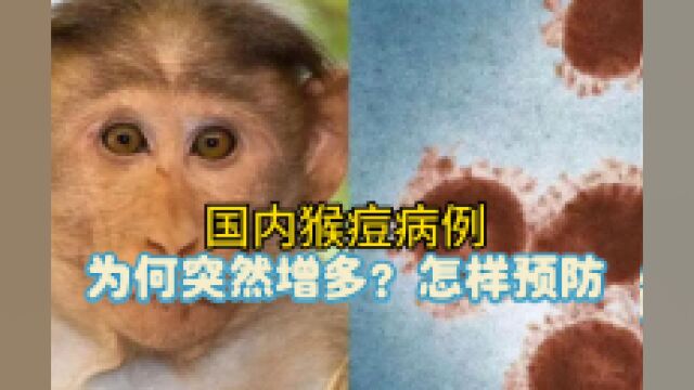 猴痘病例为何突然增多?普通人感染的机会有多大?怎样预防?