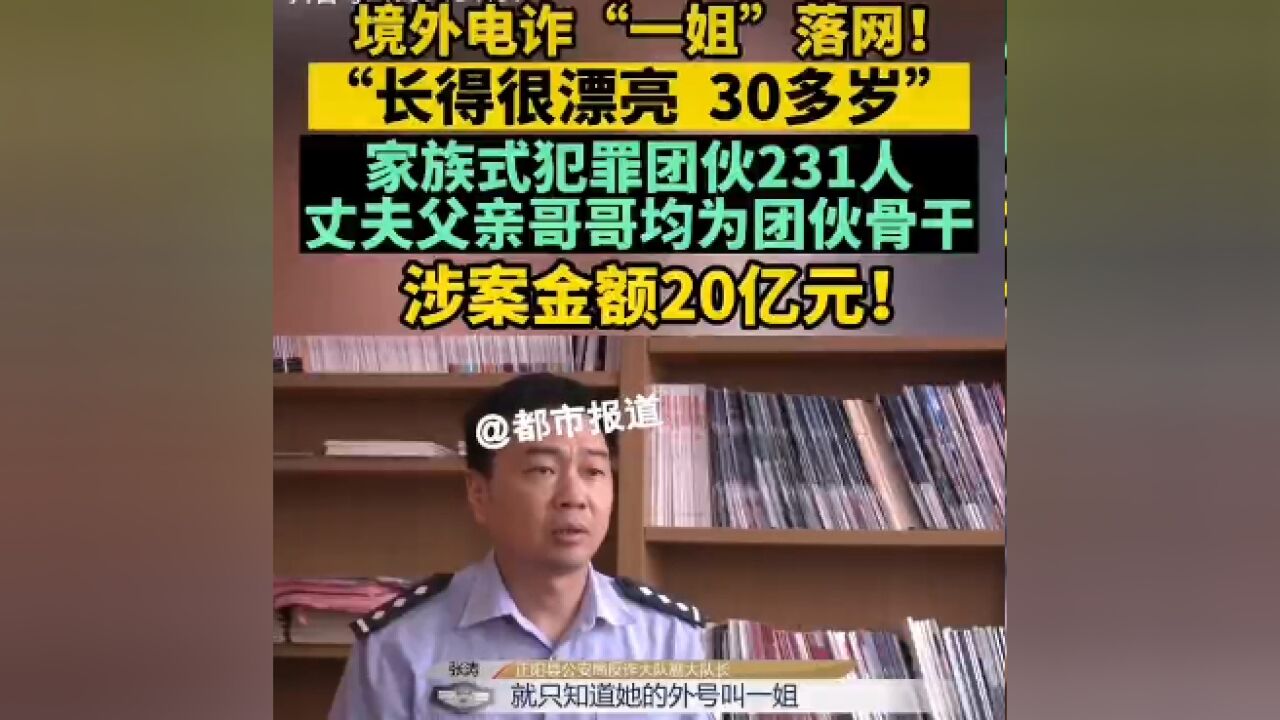 境外电诈“一姐”落网!涉案金额20亿元!