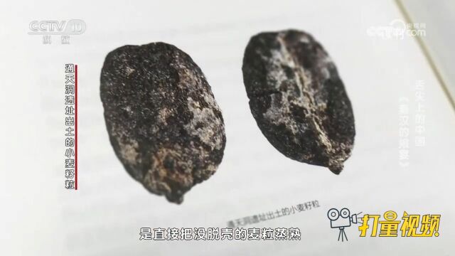 《秦汉的飨宴》:中国饮食文化由“粒食文化”进入“粉食文化”