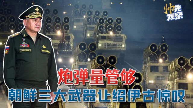 400公里射程朝鲜火箭炮,射程超龙卷风5倍:朝鲜武器让绍伊古惊叹