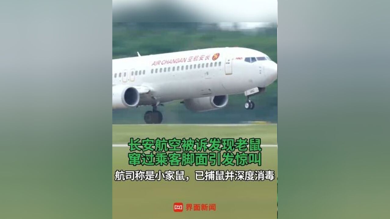 长安航空被诉发现老鼠 ,窜过乘客脚面引发惊叫,航司称是小家鼠,已捕鼠并深度消毒