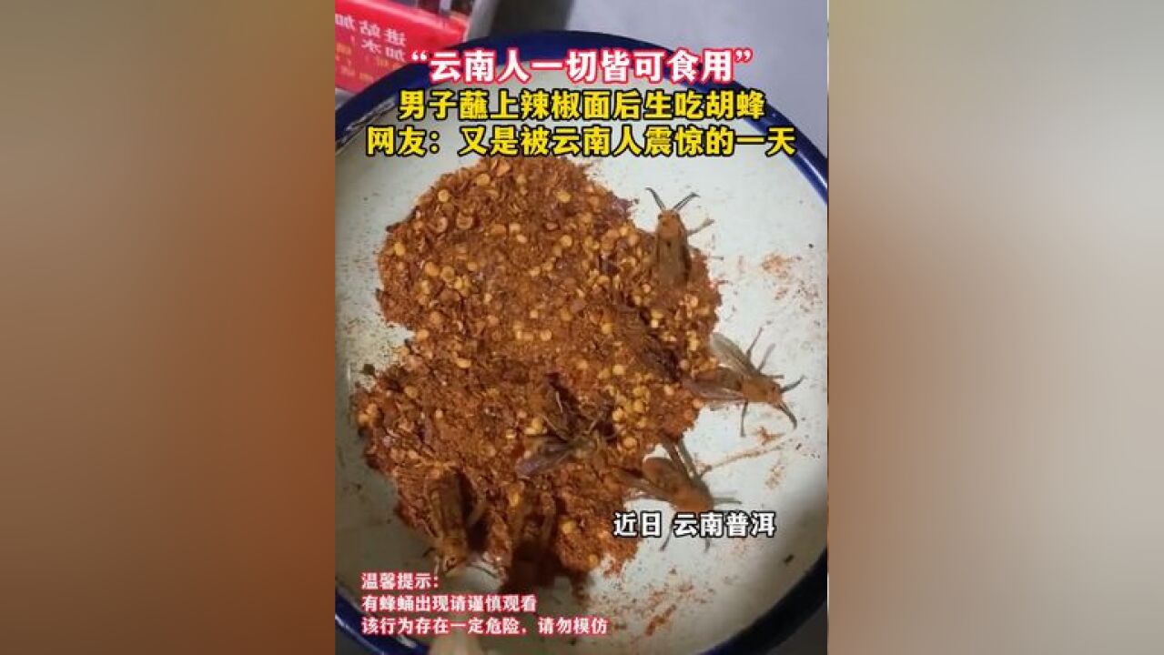 “云南人一切皆可食用” 男子蘸上辣椒面后生吃胡蜂,网友:又是被云南人震惊的一天!