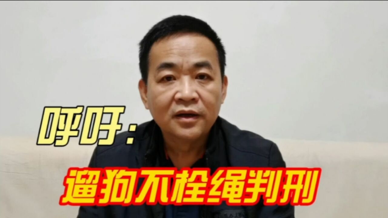 成都市崇州一小区恶狗伤小孩,呼吁不文明养狗的,参照酒驾判刑