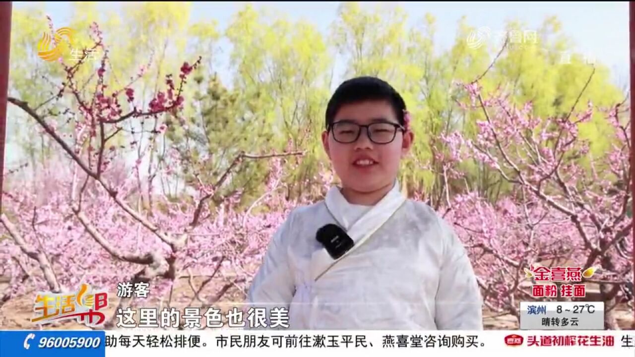 百花绽放!各地多措并举发展“赏花经济”,游客赏花拍照乐享美景