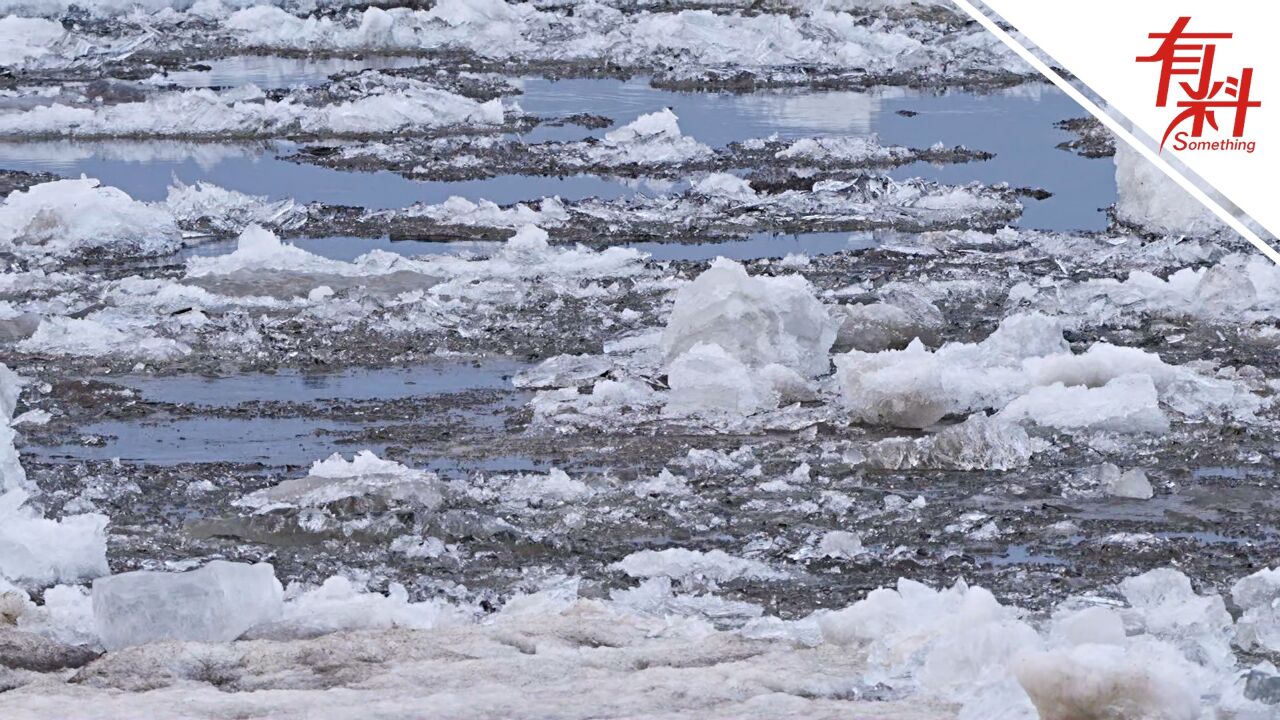 开江啦!黑河冰雪消融季 “跑冰排”成春日独特风景线