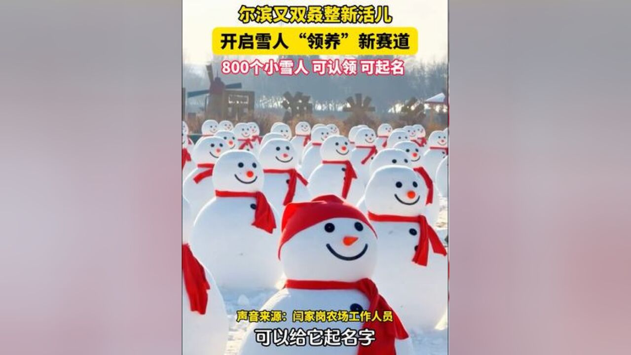 尔滨又双叒整新活儿,开启雪人“领养”新赛道,800个小雪人,可认领、可起名