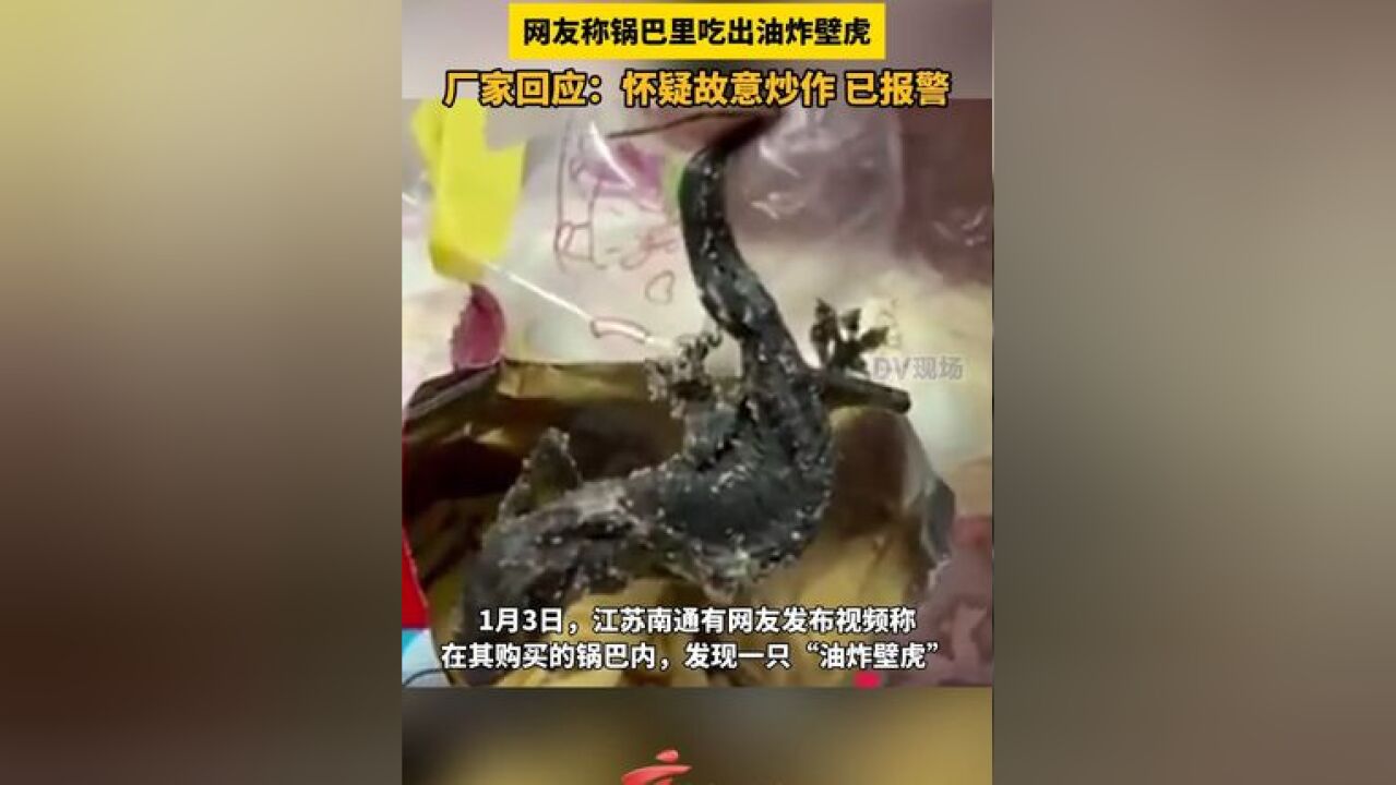 网友称锅巴里吃出油炸壁虎,厂家回应:怀疑故意炒作,已报警