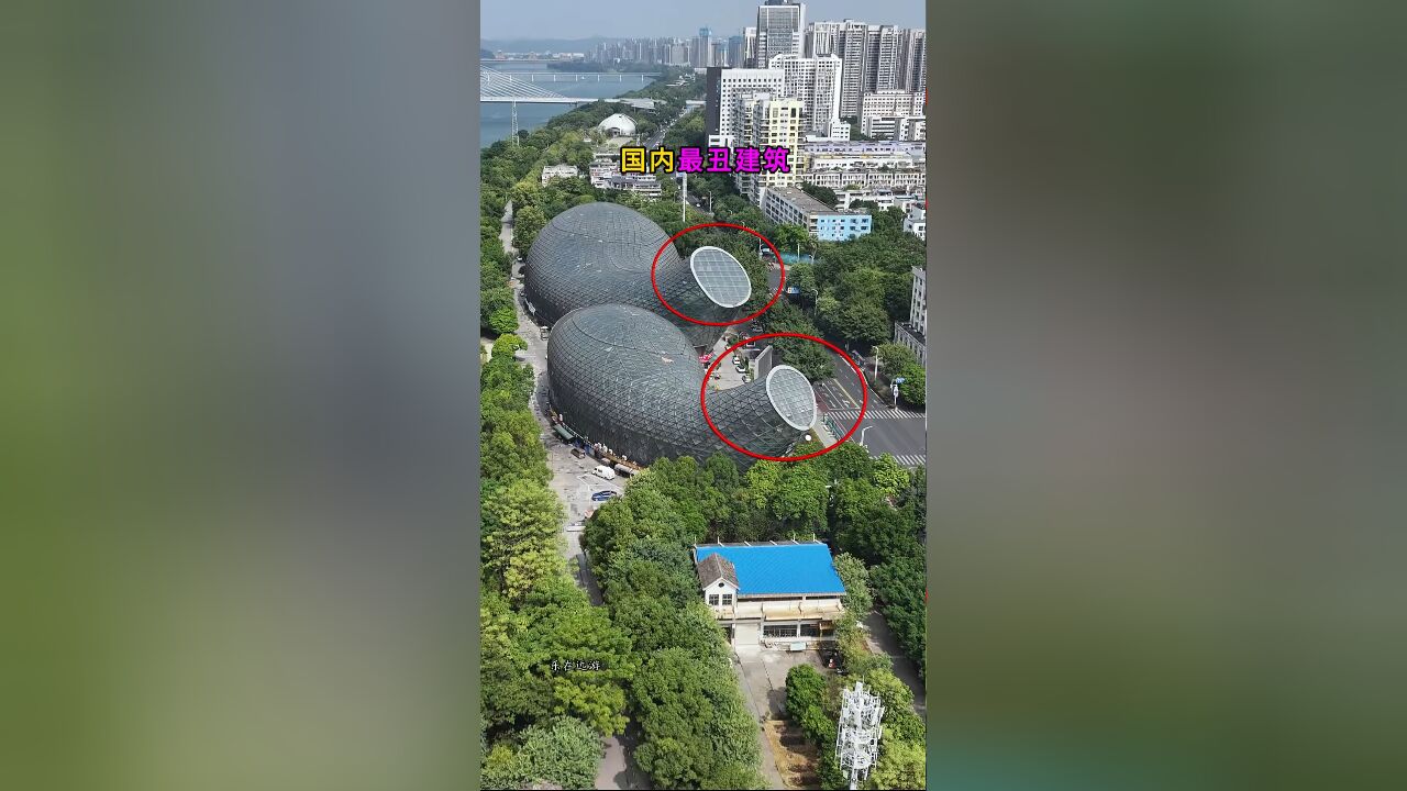 国内最奇葩的建筑“柳州双鱼汇”,耗资3亿打造,却无头无尾,有人说像花生,也有人说像夜壶,你们觉得像什么?